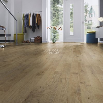 Ламинат Kronotex Dynamic Plus d4953 Дуб Плау фото 3 | FLOORDEALER